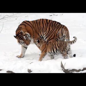 Meet your Posher, Matthieu